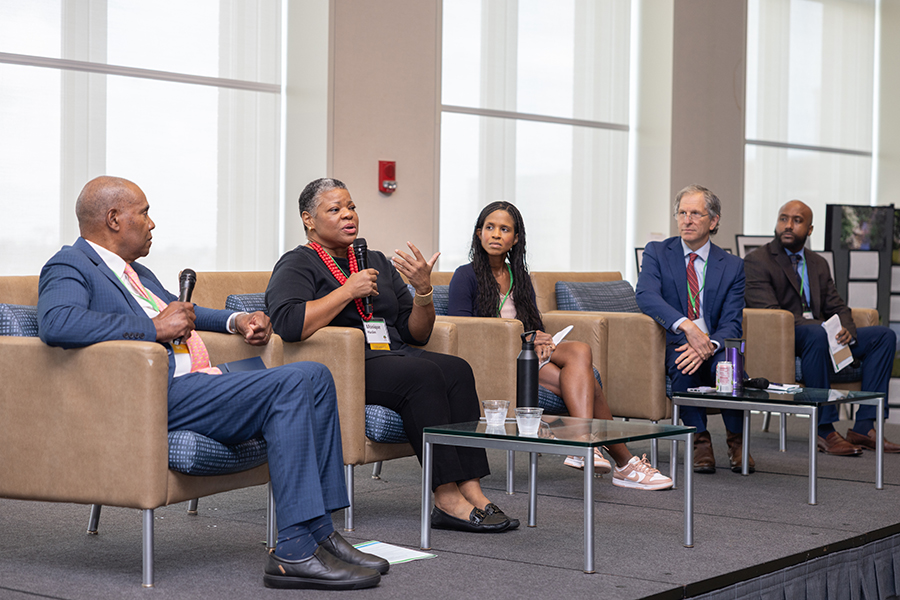 Panel at the CEJM conference