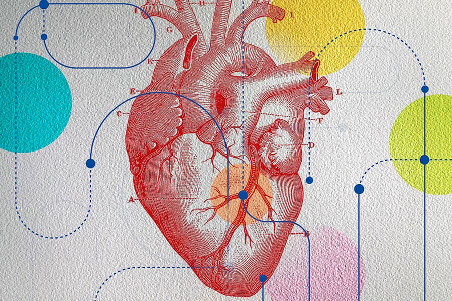 Beacons Magazine Adobestock Heart