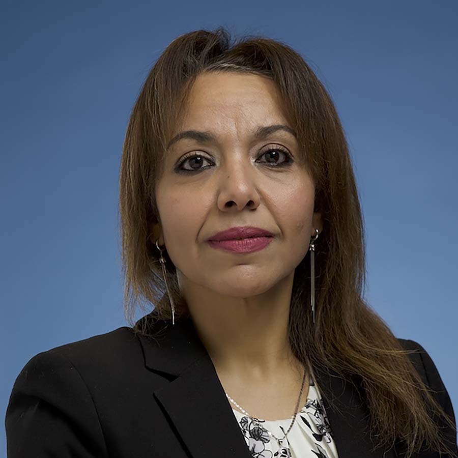Sabreen Darwish, Assistant Professor, Nursing