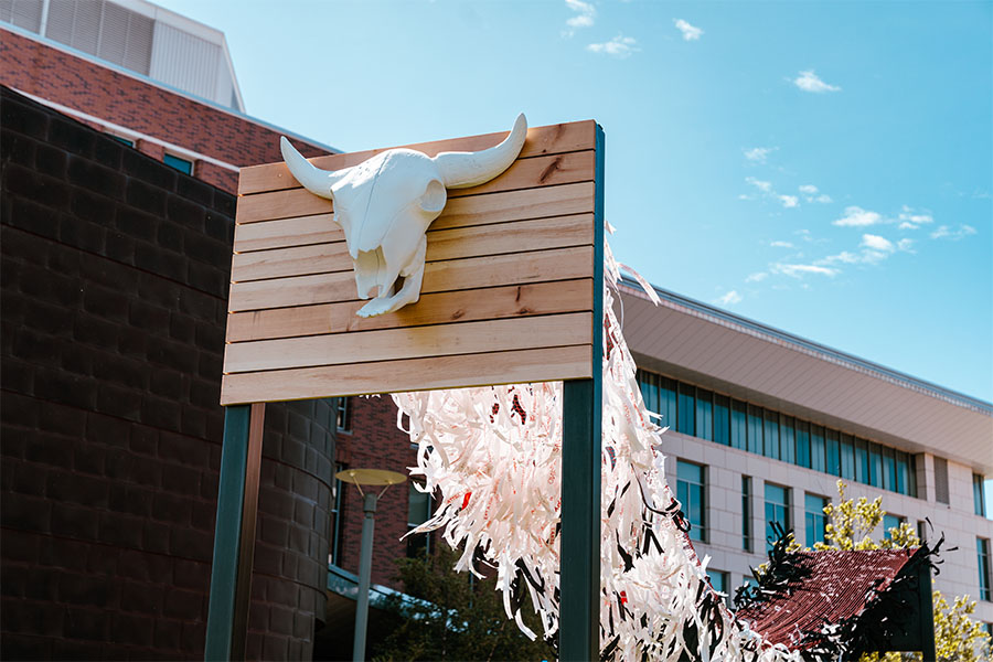 Buffalo Artwork Outside Blue Skies
