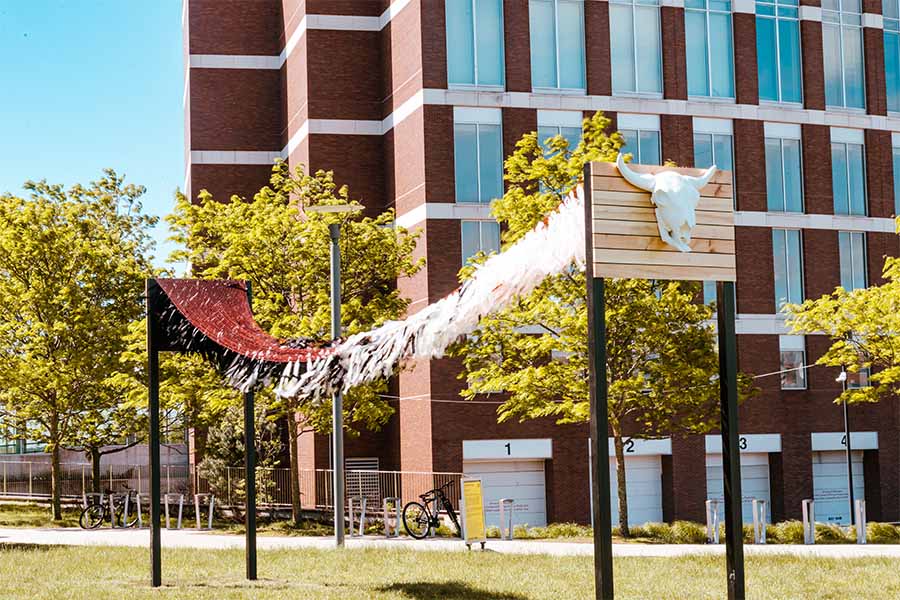 Art piece by University Center Outdoors Transmutation