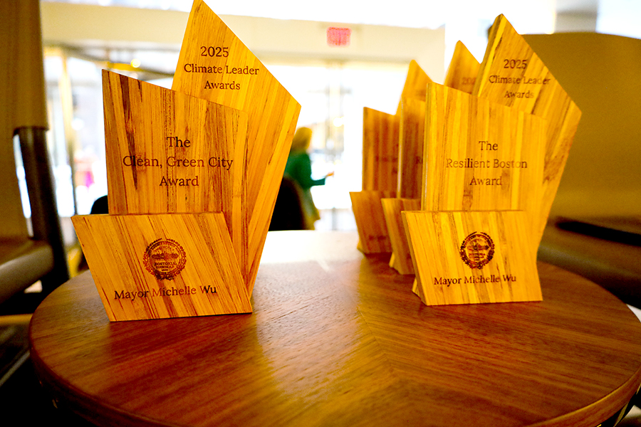 Resilient Boston Award